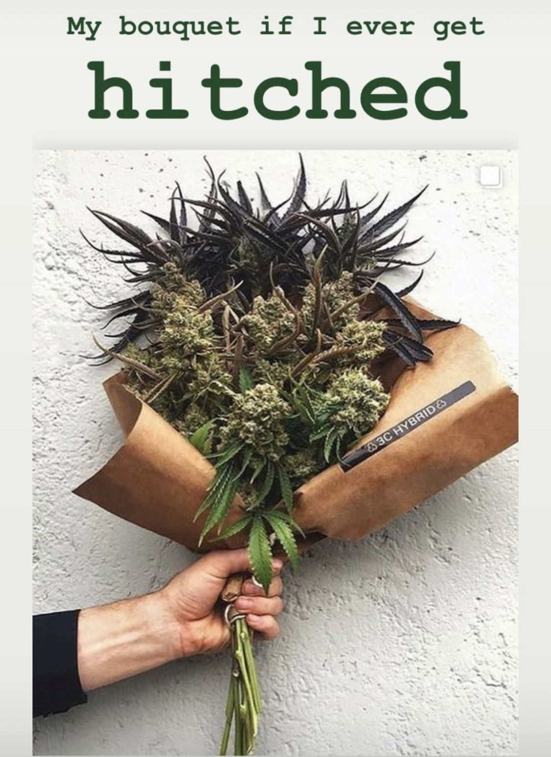 Money🪴🦋 OnlyFans header