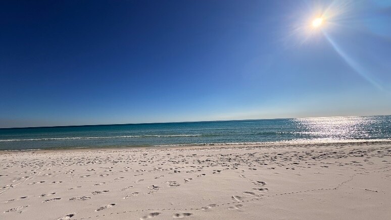 The Queenie OnlyFans header