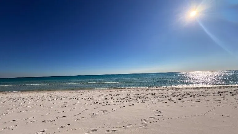 The Queenie OnlyFans header