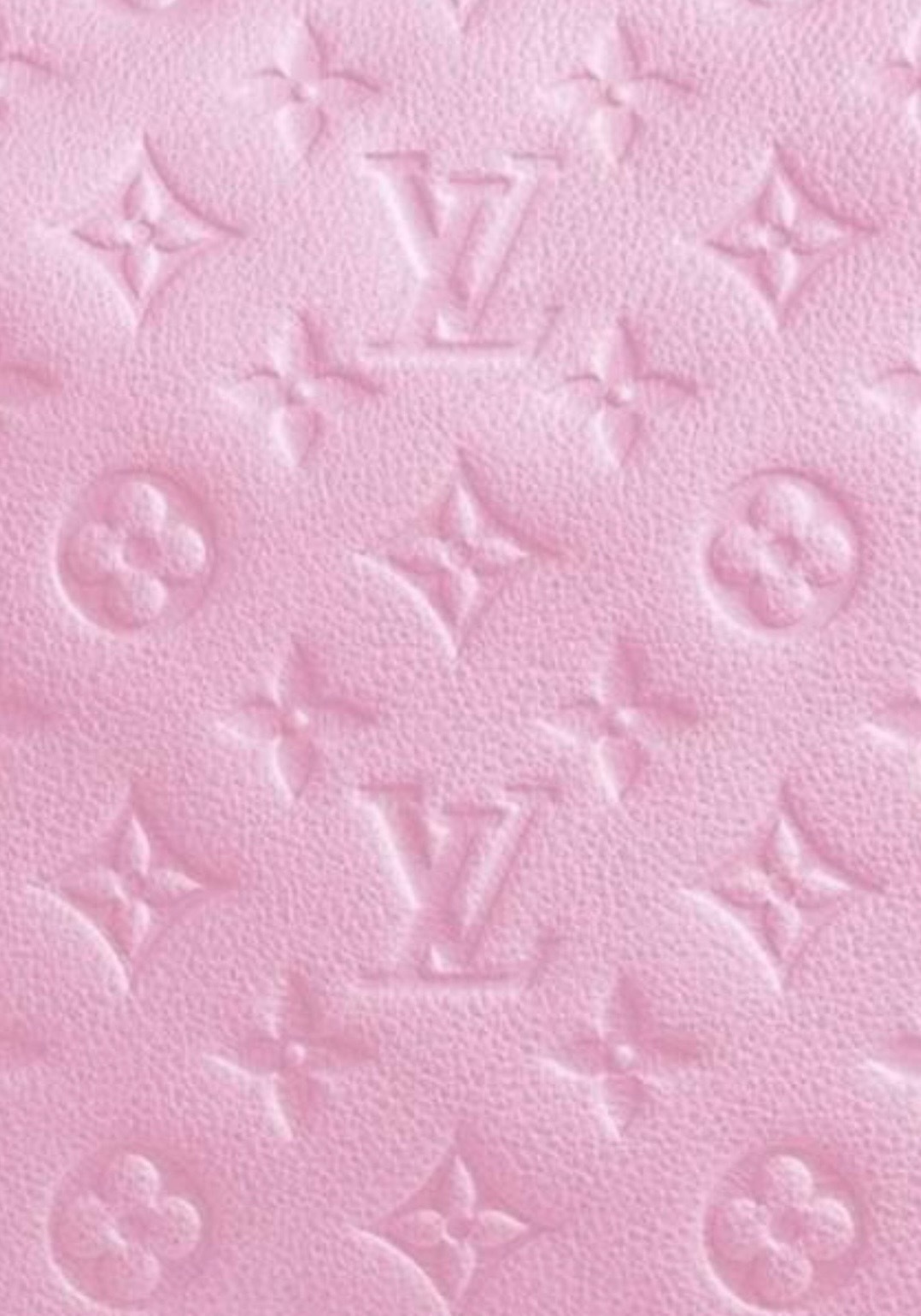 Katya OnlyFans header