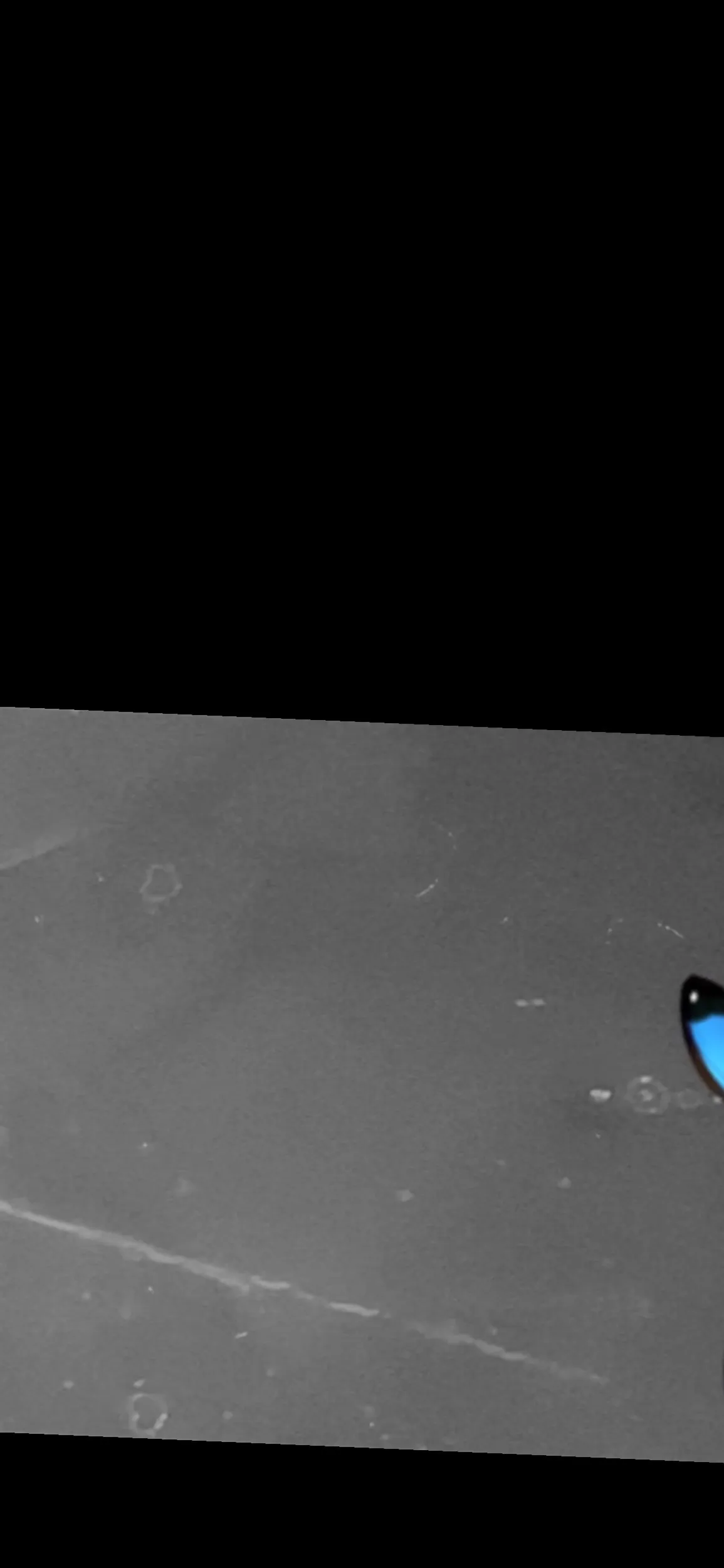 SoSadity OnlyFans header