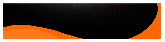 Salazar OnlyFans header