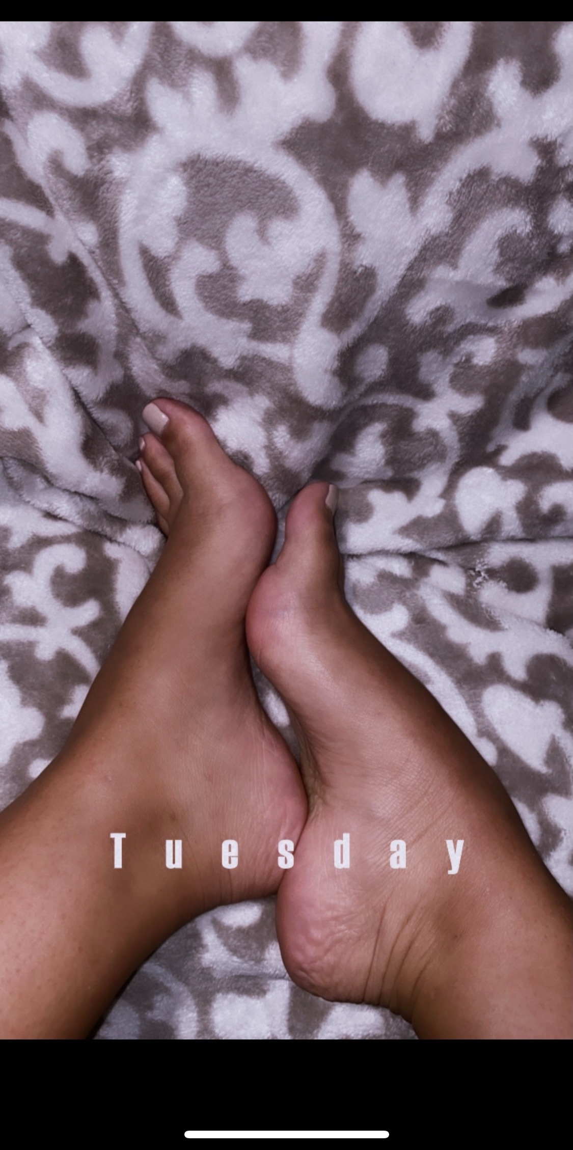 Sasha belle OnlyFans