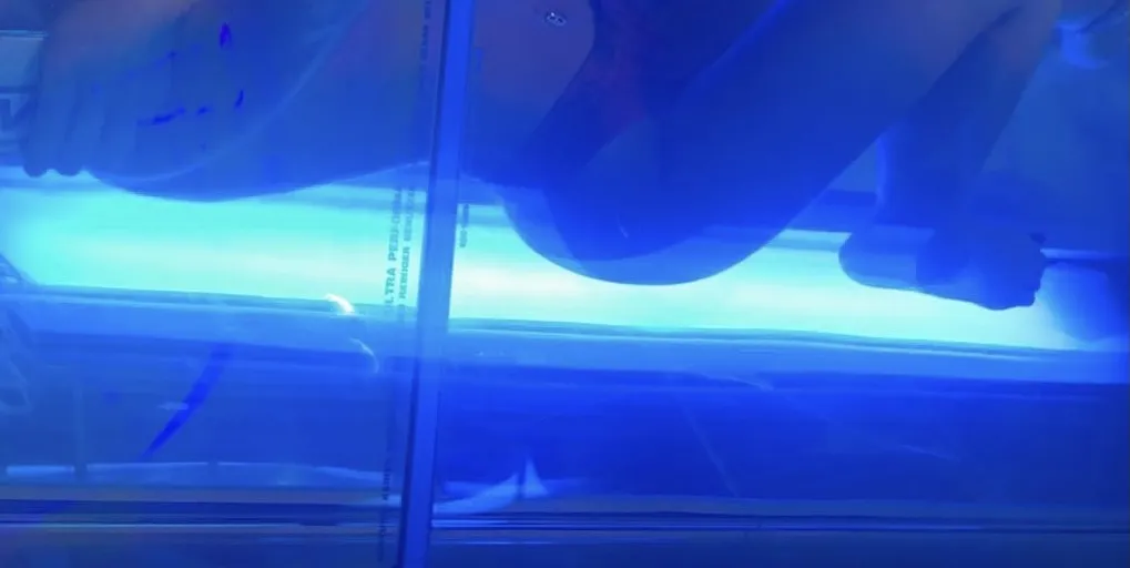 ava tores<3 OnlyFans header