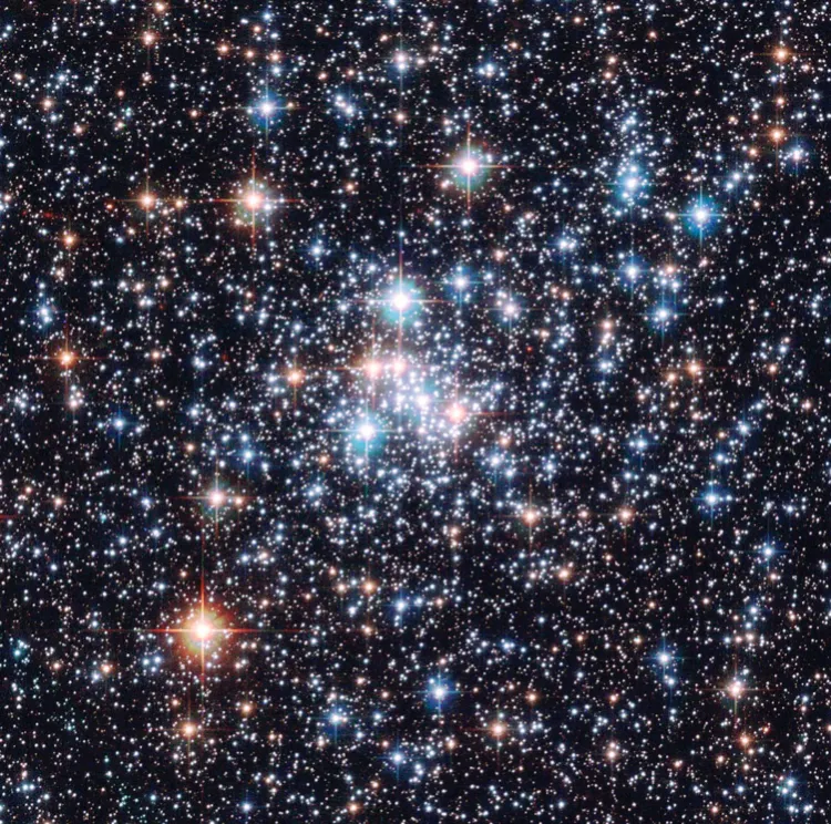 OfficialVinny OnlyFans header