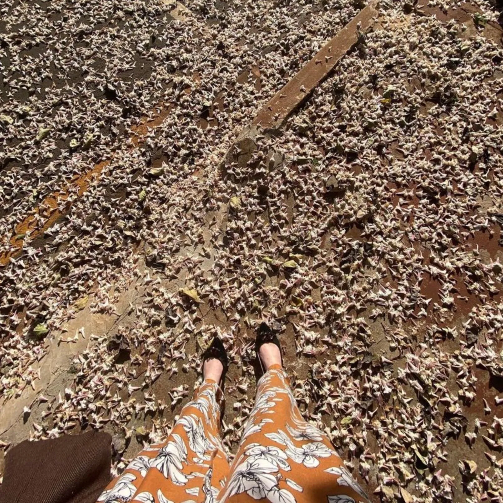 Jasmine Willow #onlyfeet OnlyFans header