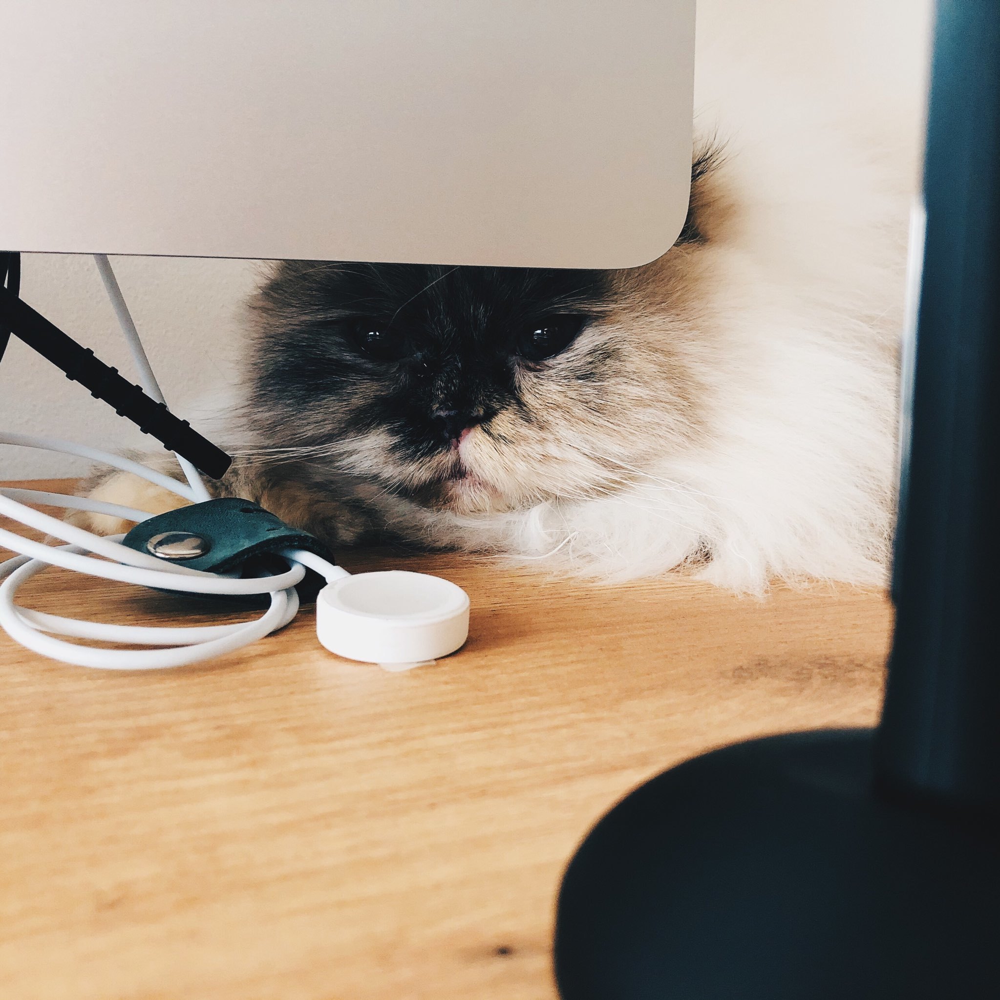 Laura Reen the greatest model of today!! OnlyFans