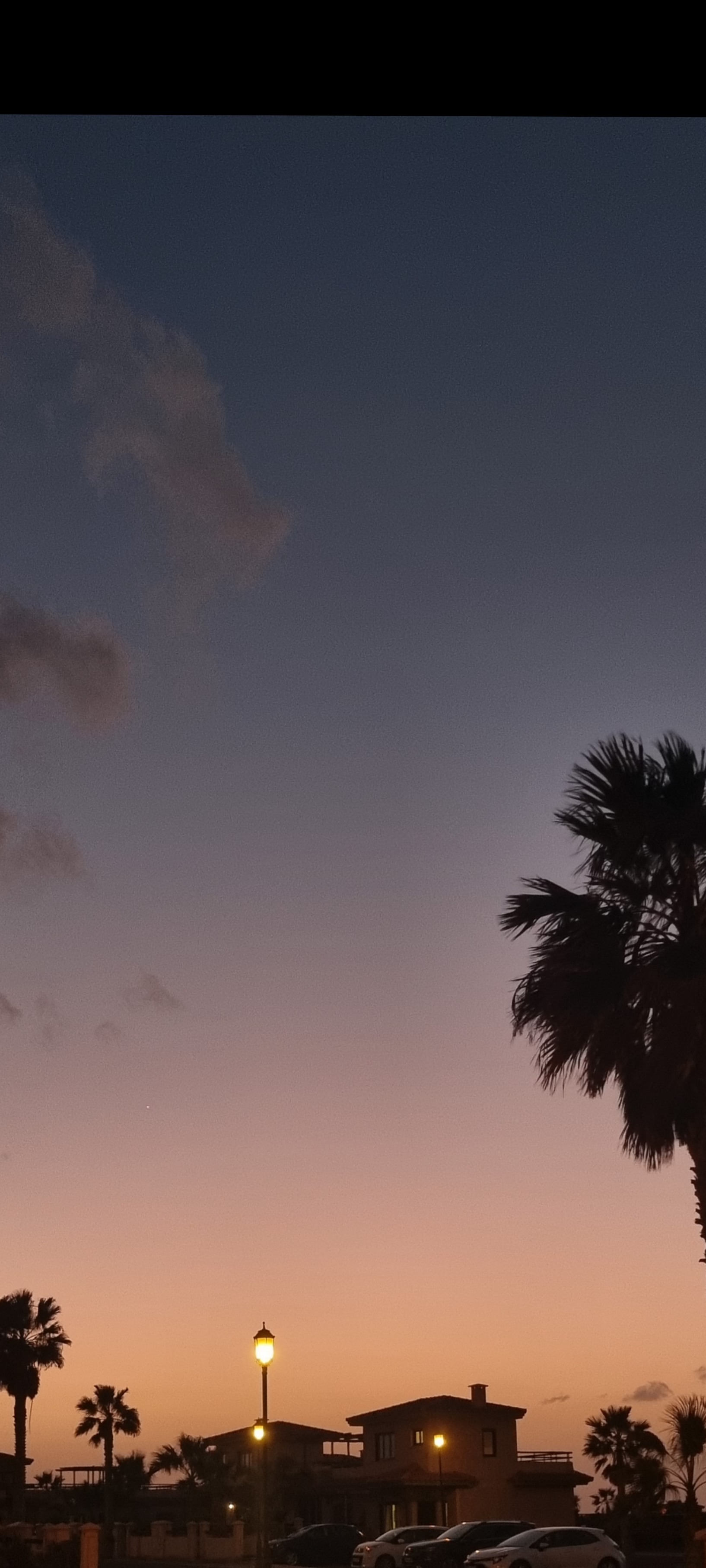 Lizzi OnlyFans header