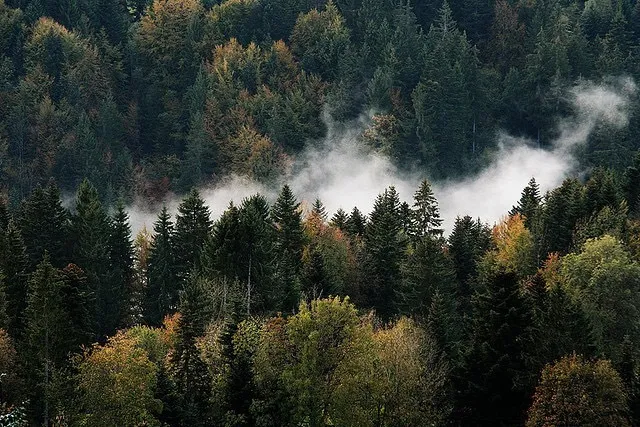 Rese OnlyFans header