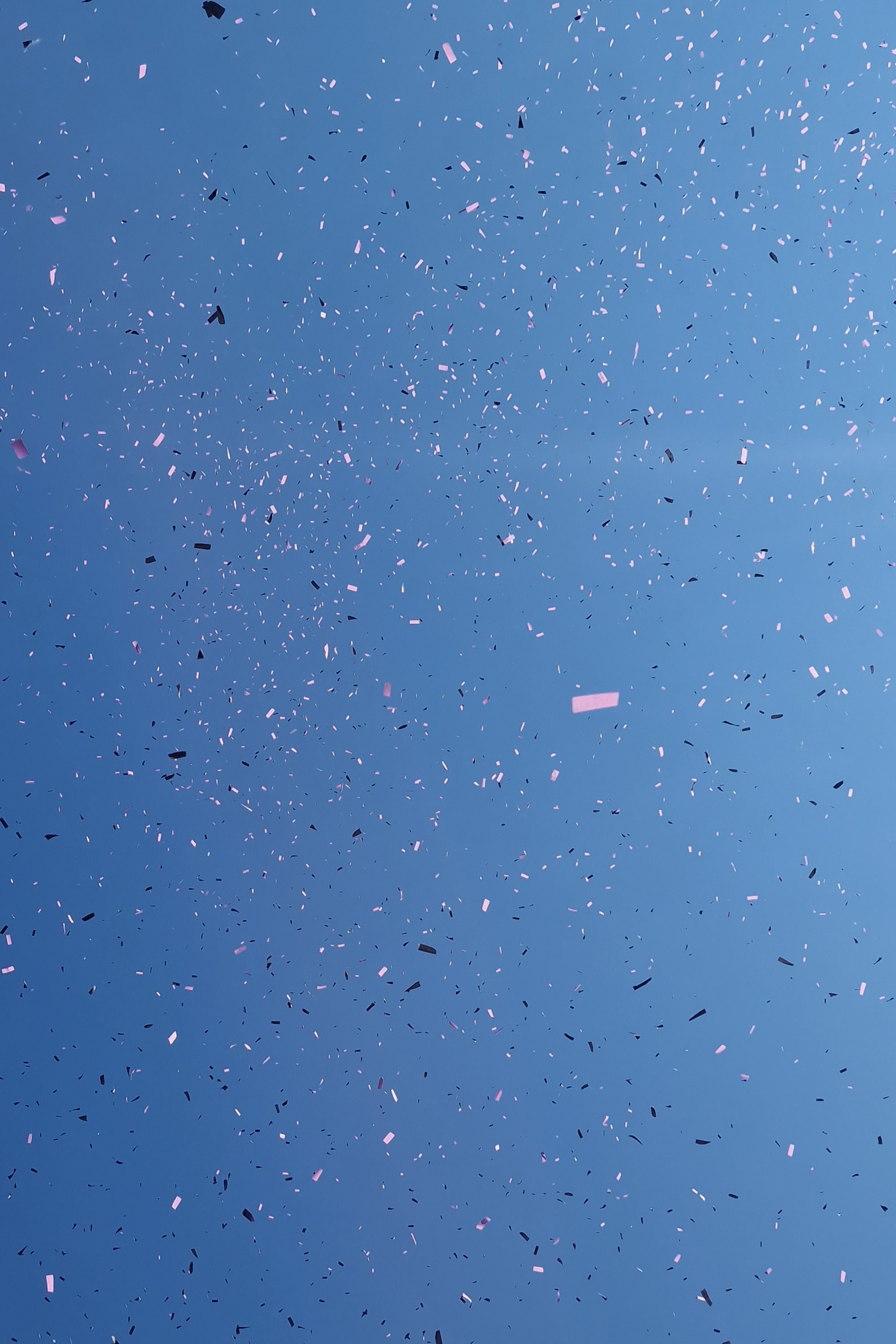 Matthew OnlyFans header