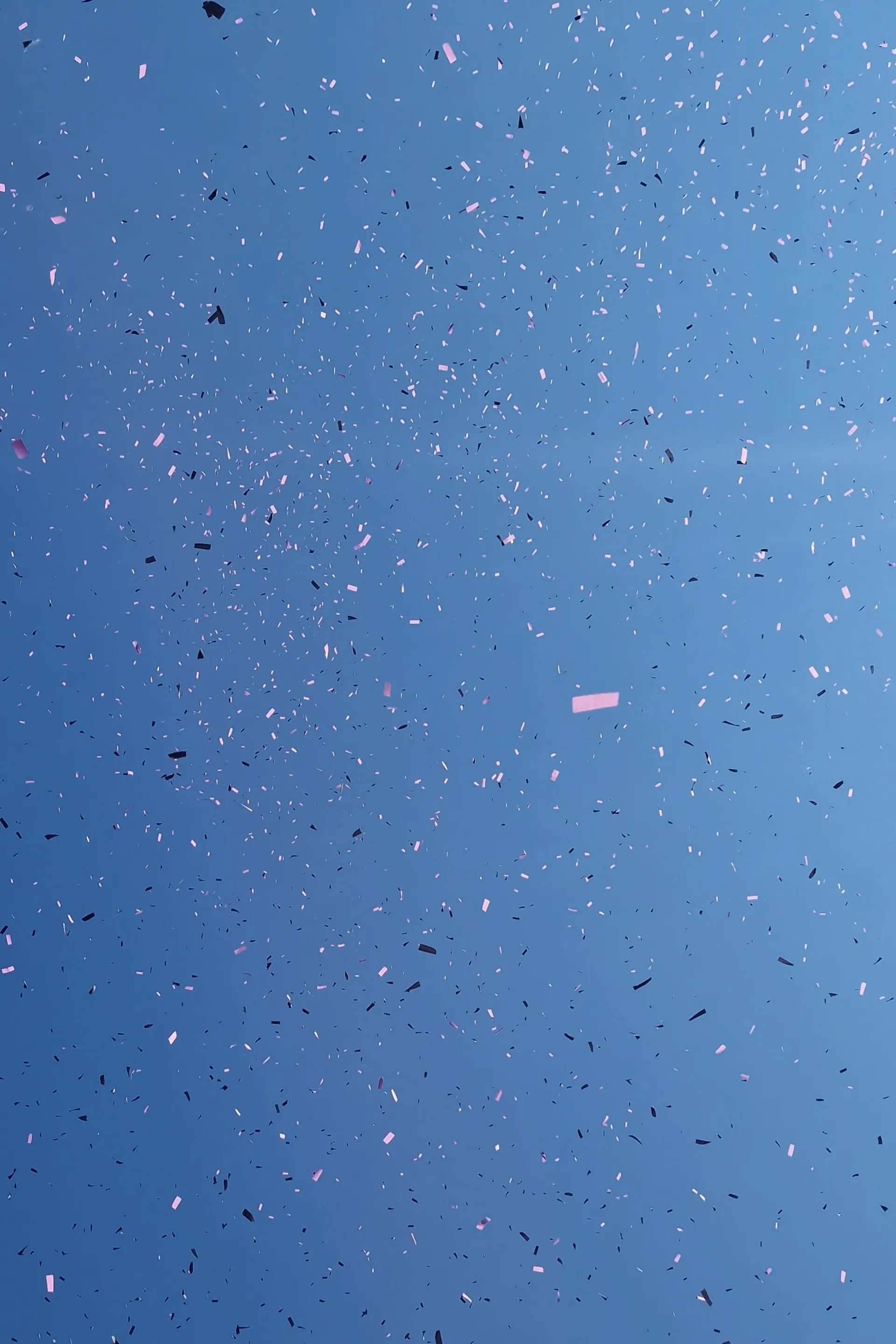 Matthew OnlyFans header