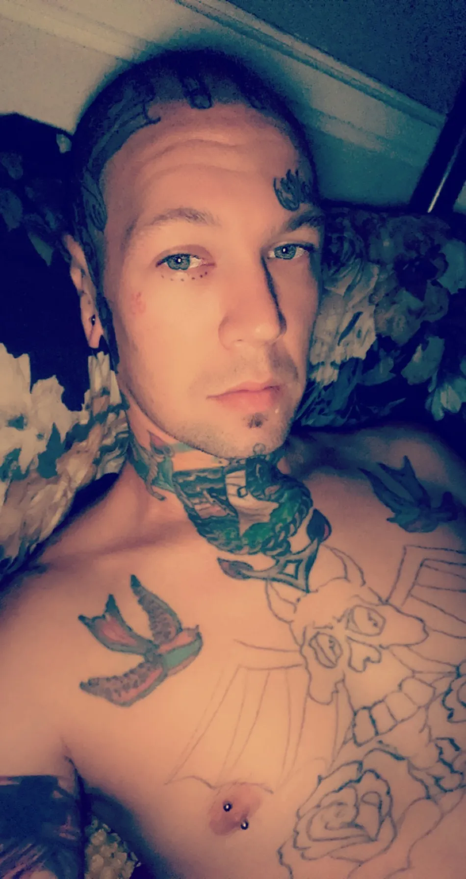 tat2highway OnlyFans header