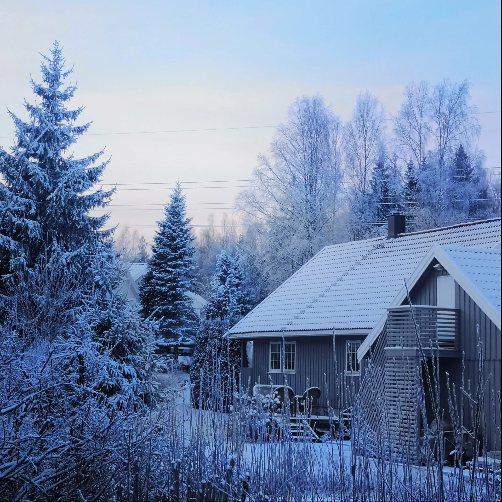 Victor OnlyFans header