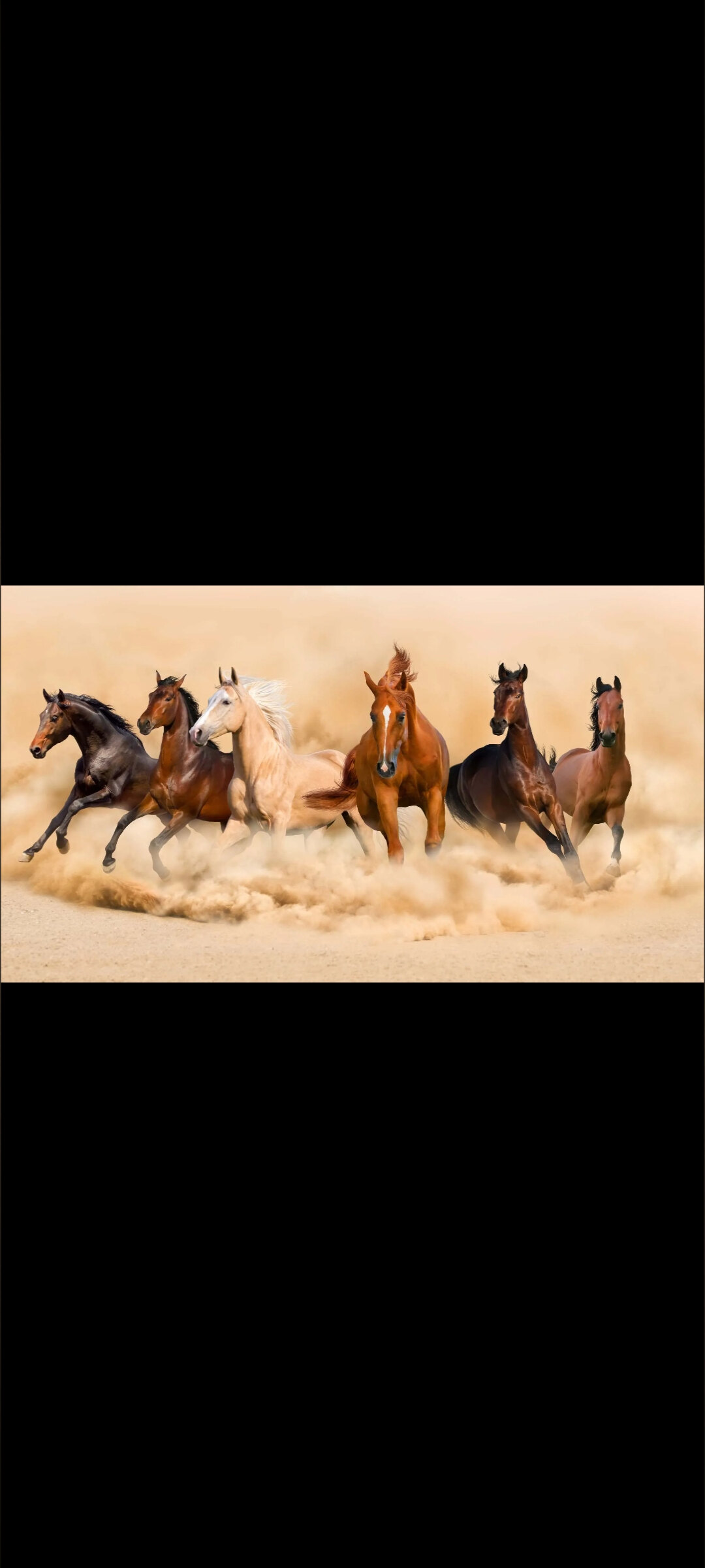 barnyard_dog OnlyFans header