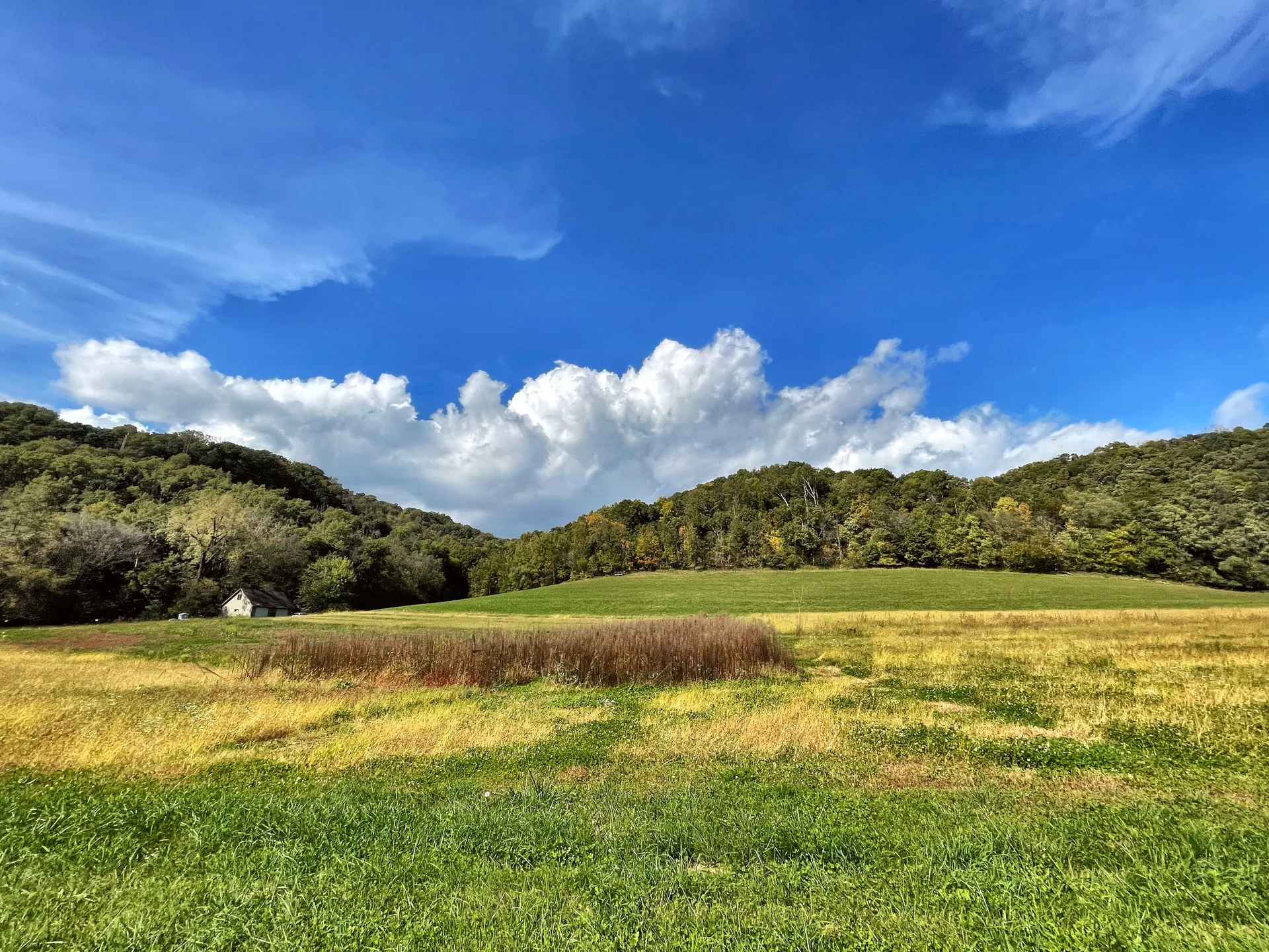 OG_tush OnlyFans header