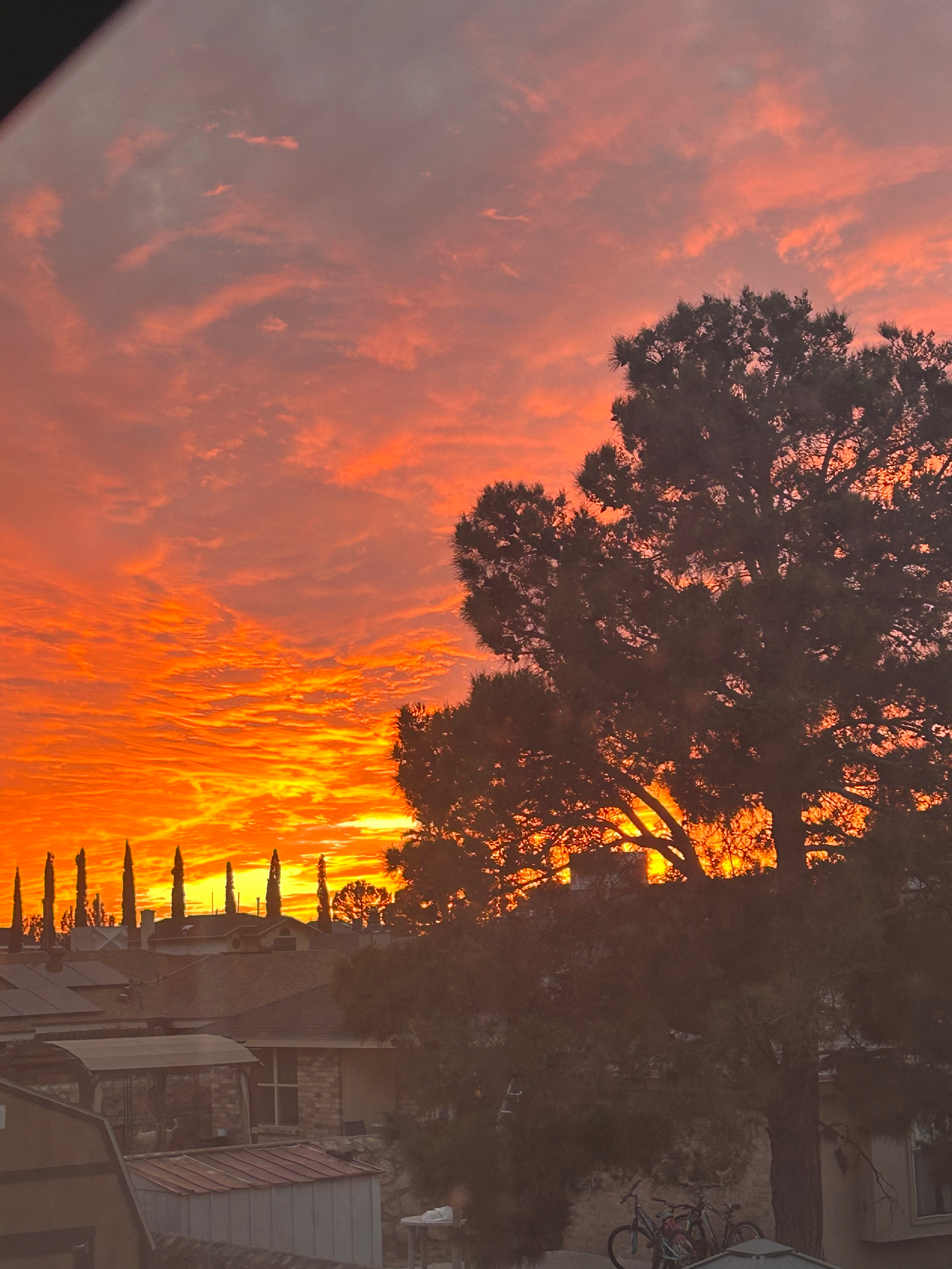 Bella OnlyFans header