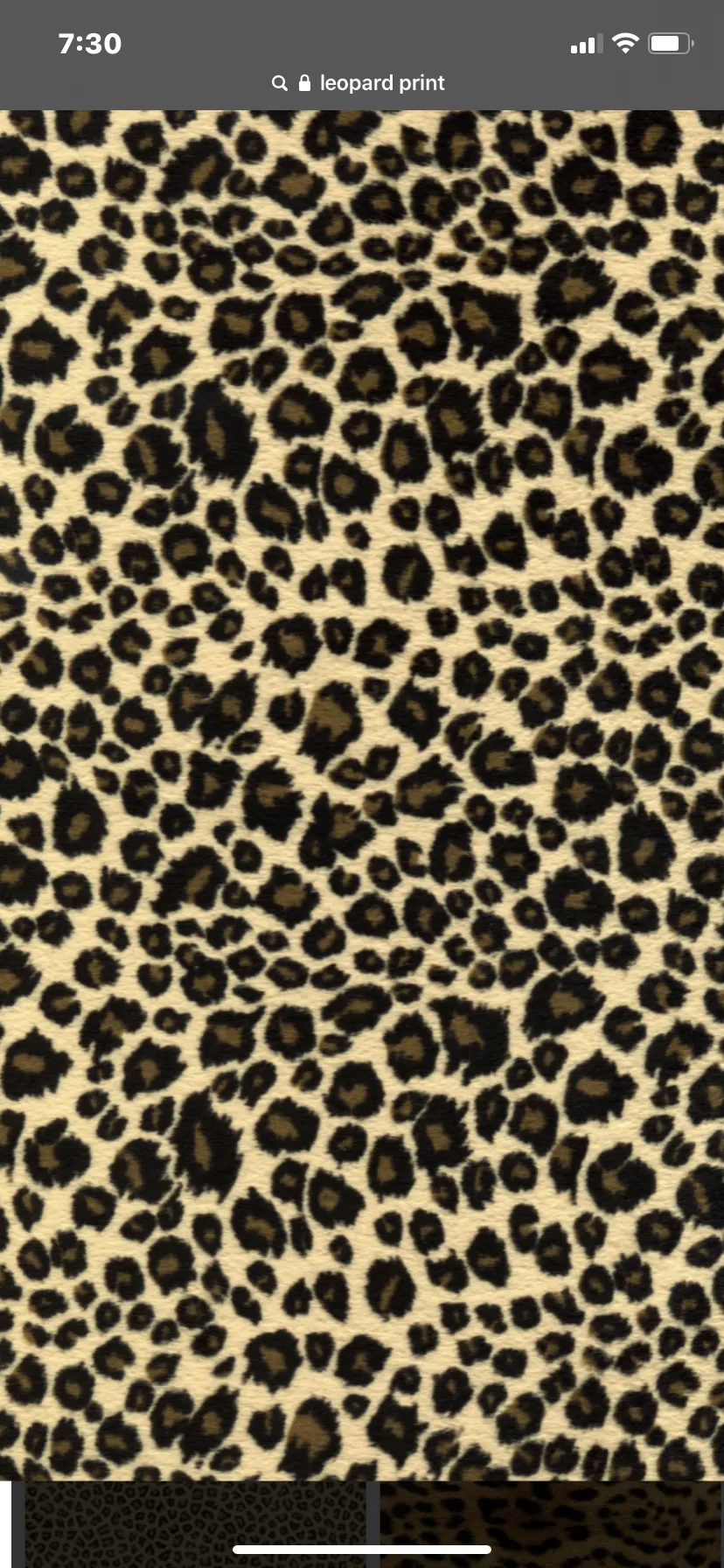 OGKAY OnlyFans header