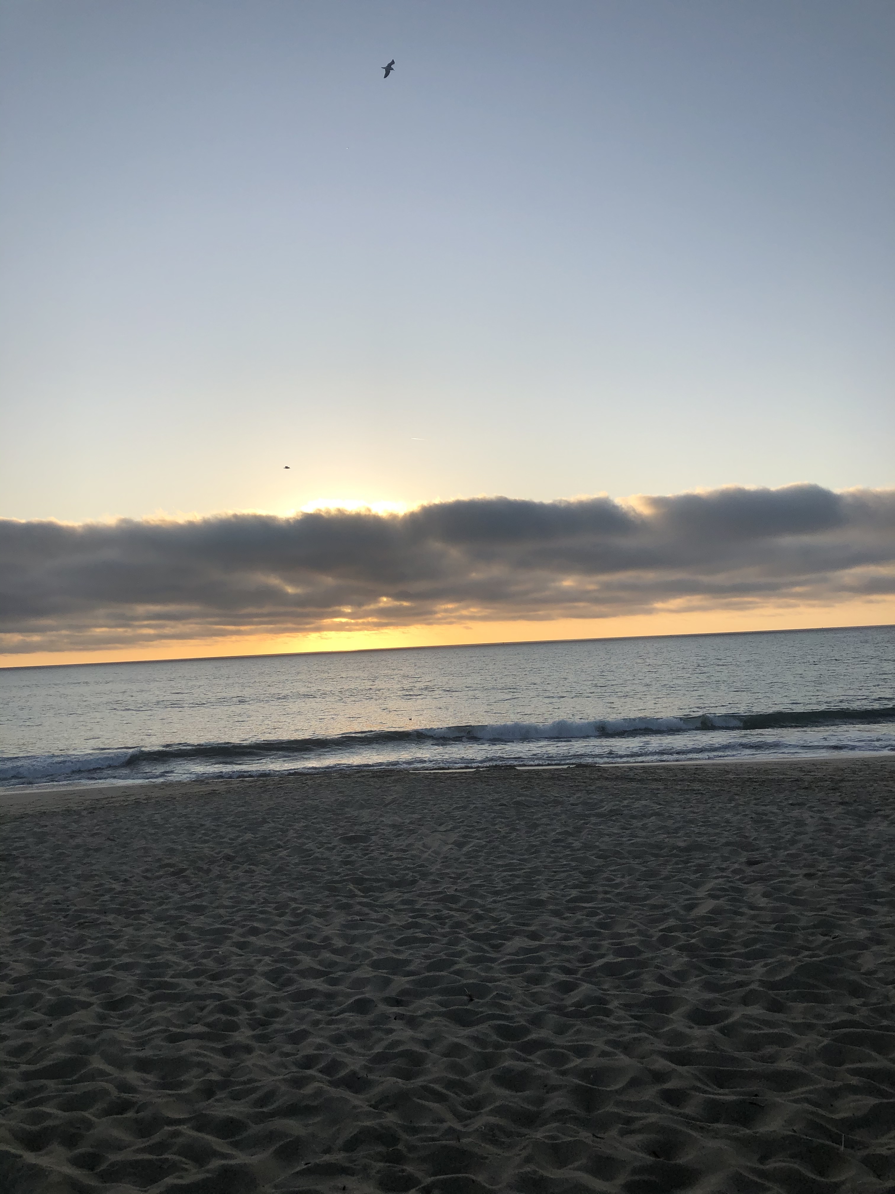 Taiján Dockery OnlyFans header