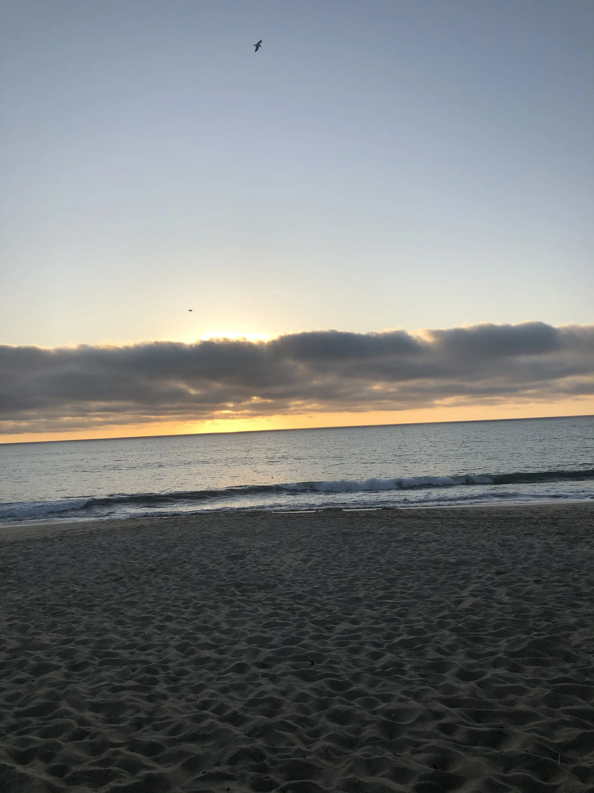 Taiján Dockery OnlyFans header