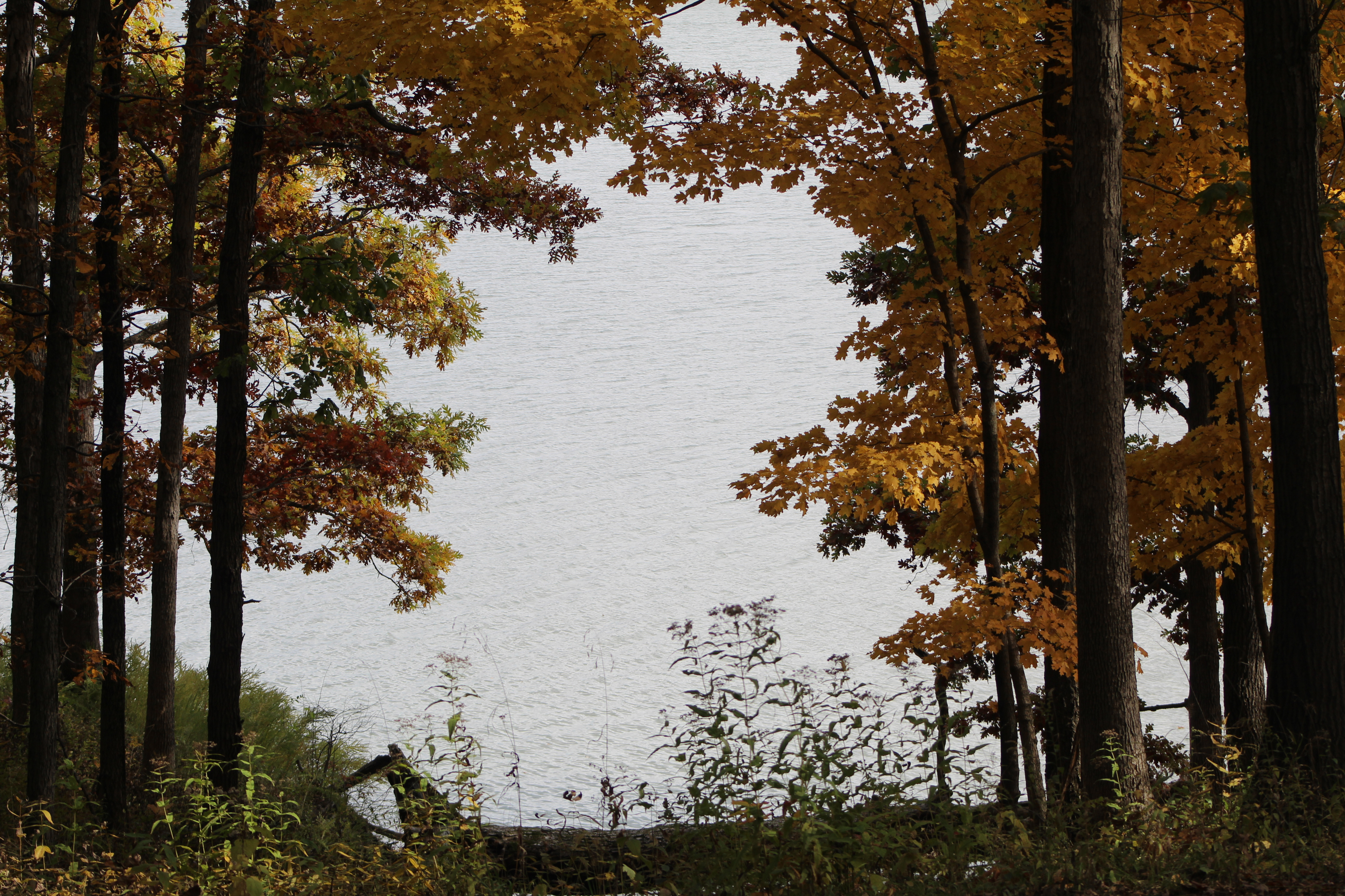 Mikey OnlyFans header