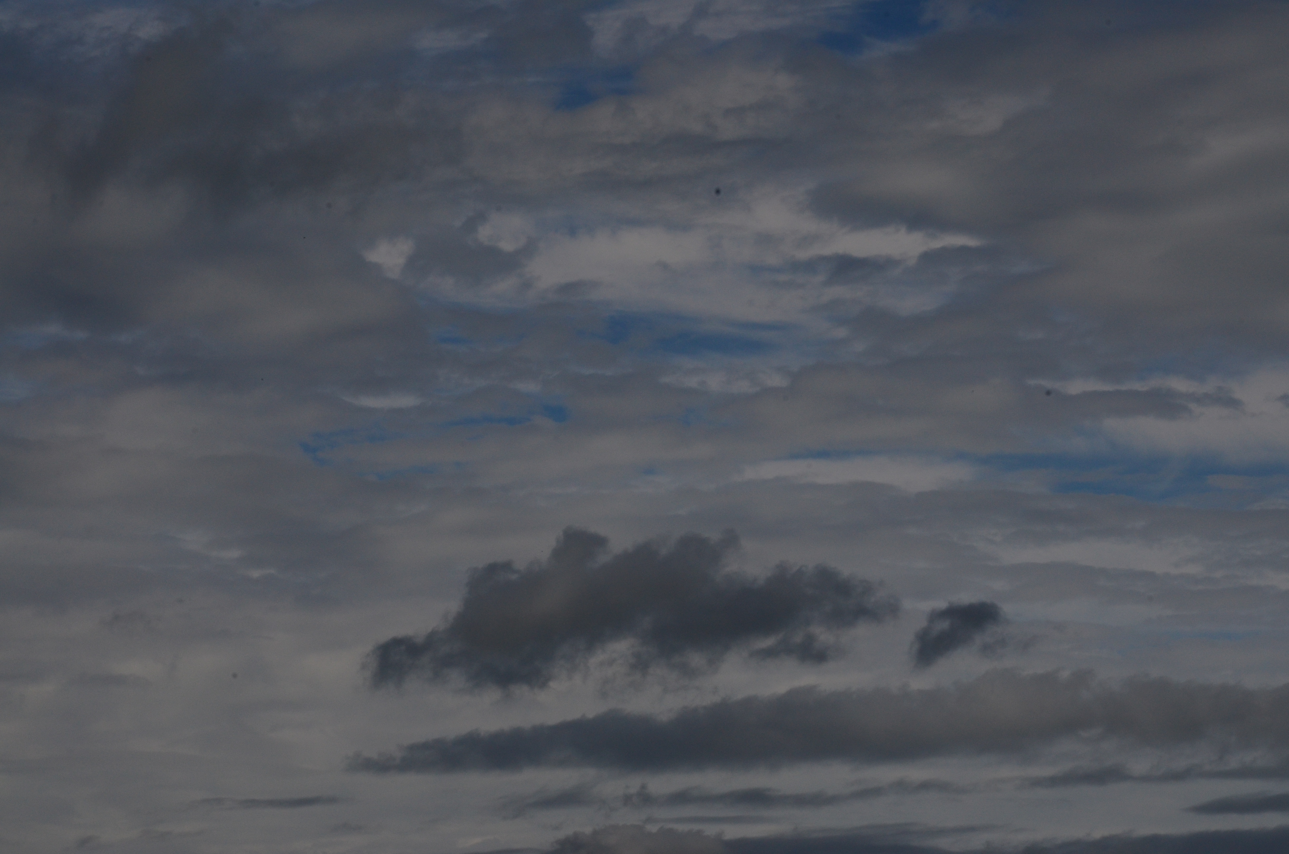 oh behave OnlyFans header