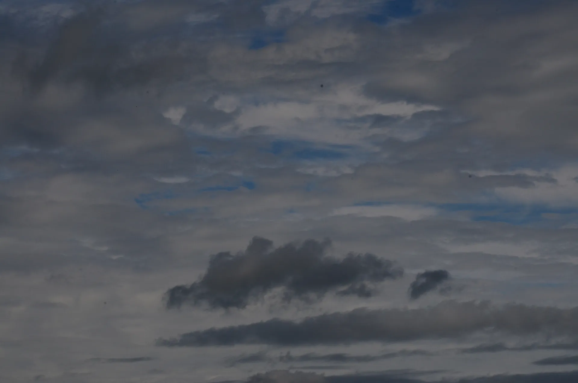 oh behave OnlyFans header