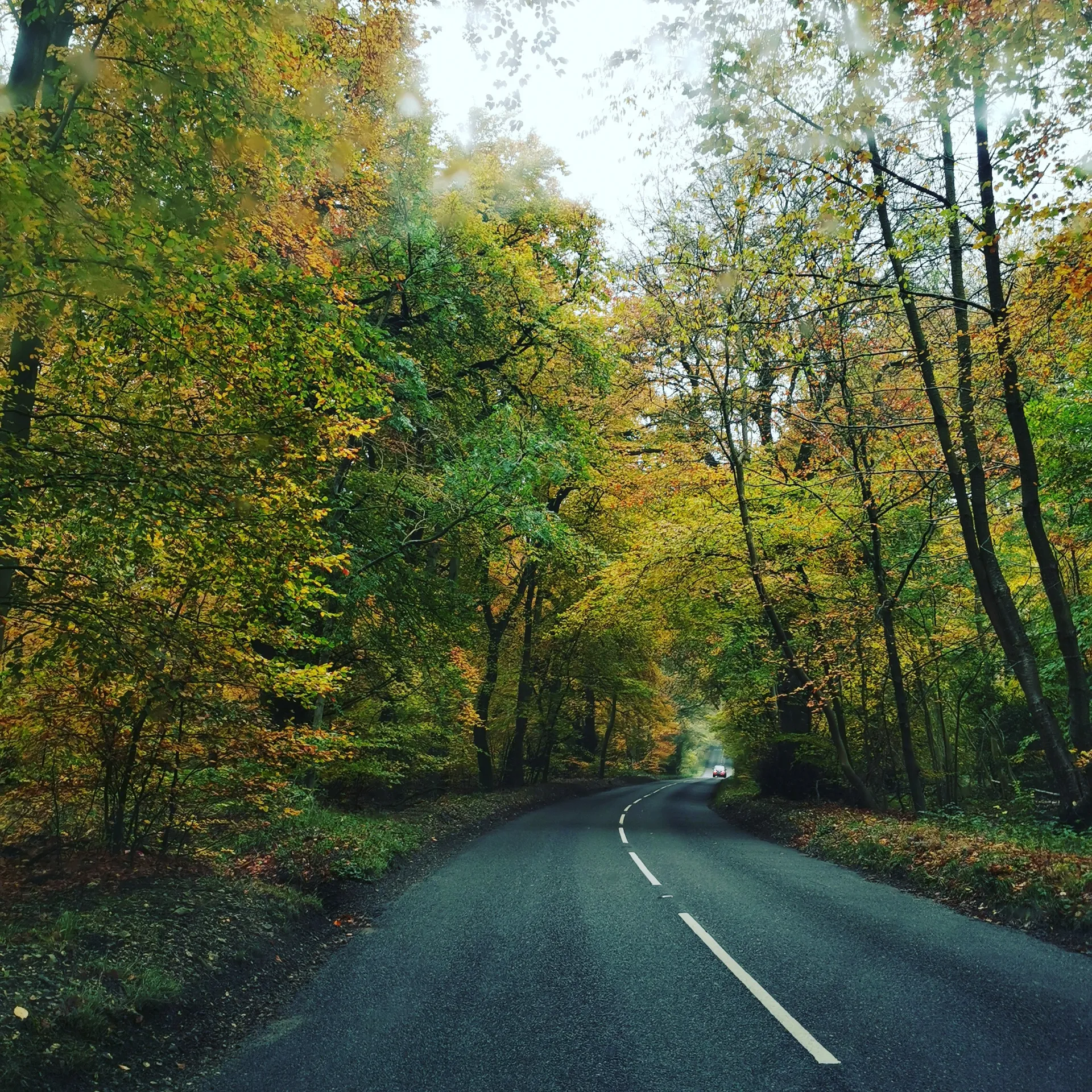 Ohana OnlyFans header