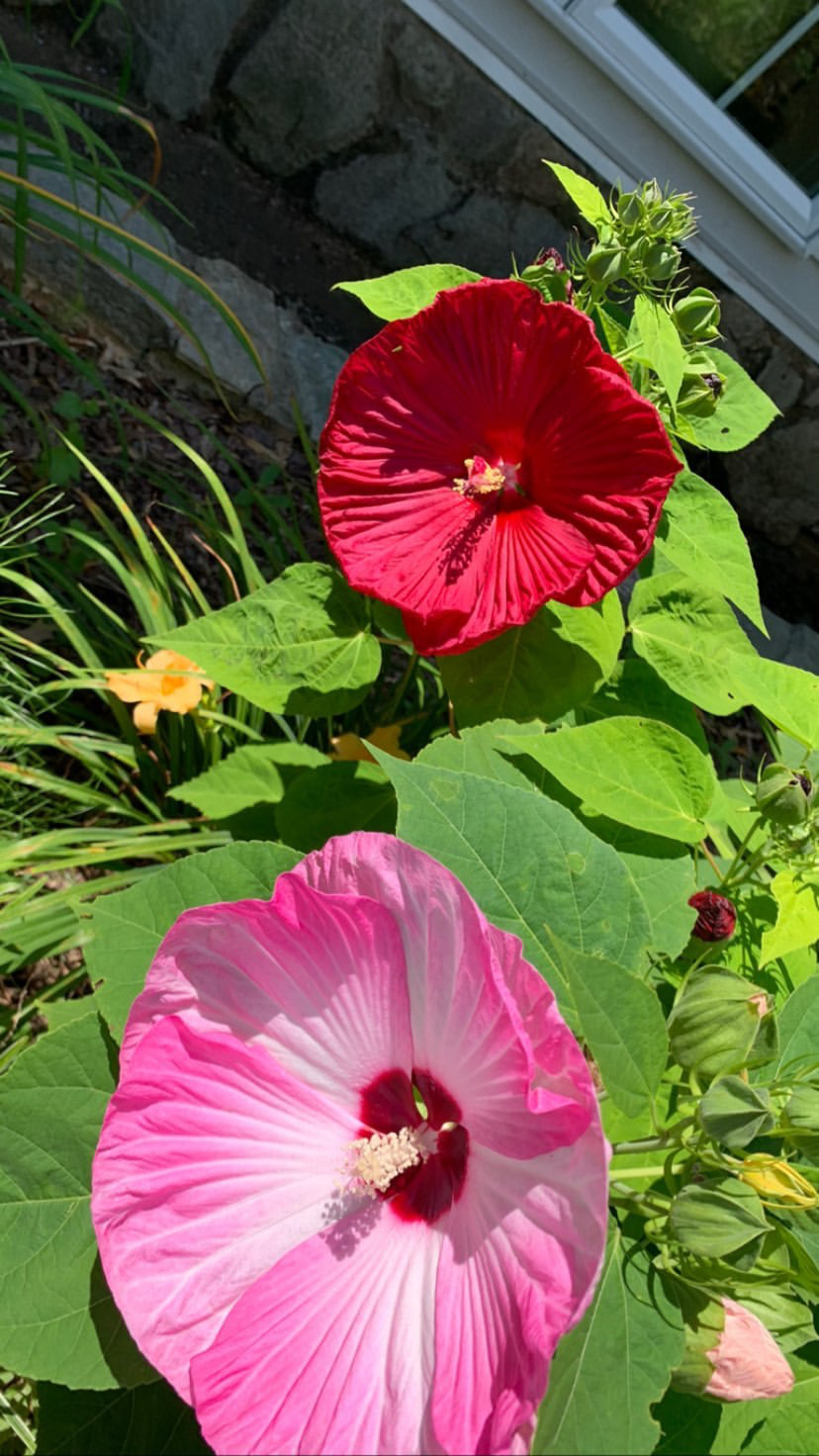 Brittany OnlyFans header