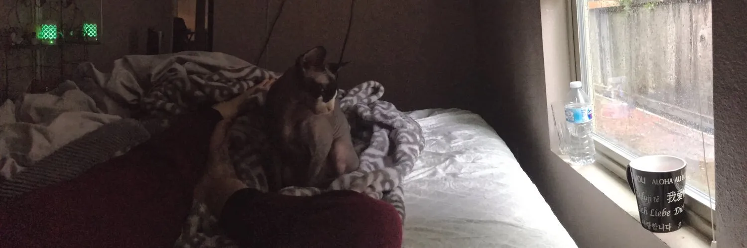 🍒🎀  𝓛𝓲𝓽𝓪 🎀🍒 OnlyFans header