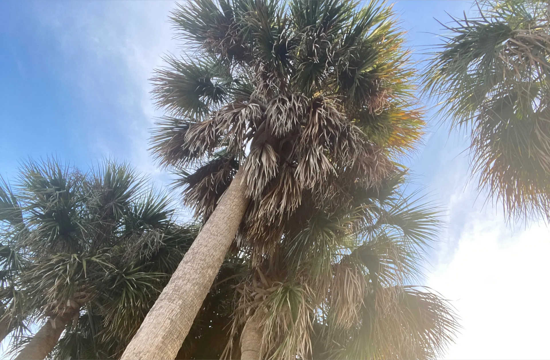 Oheytherehellohi OnlyFans header