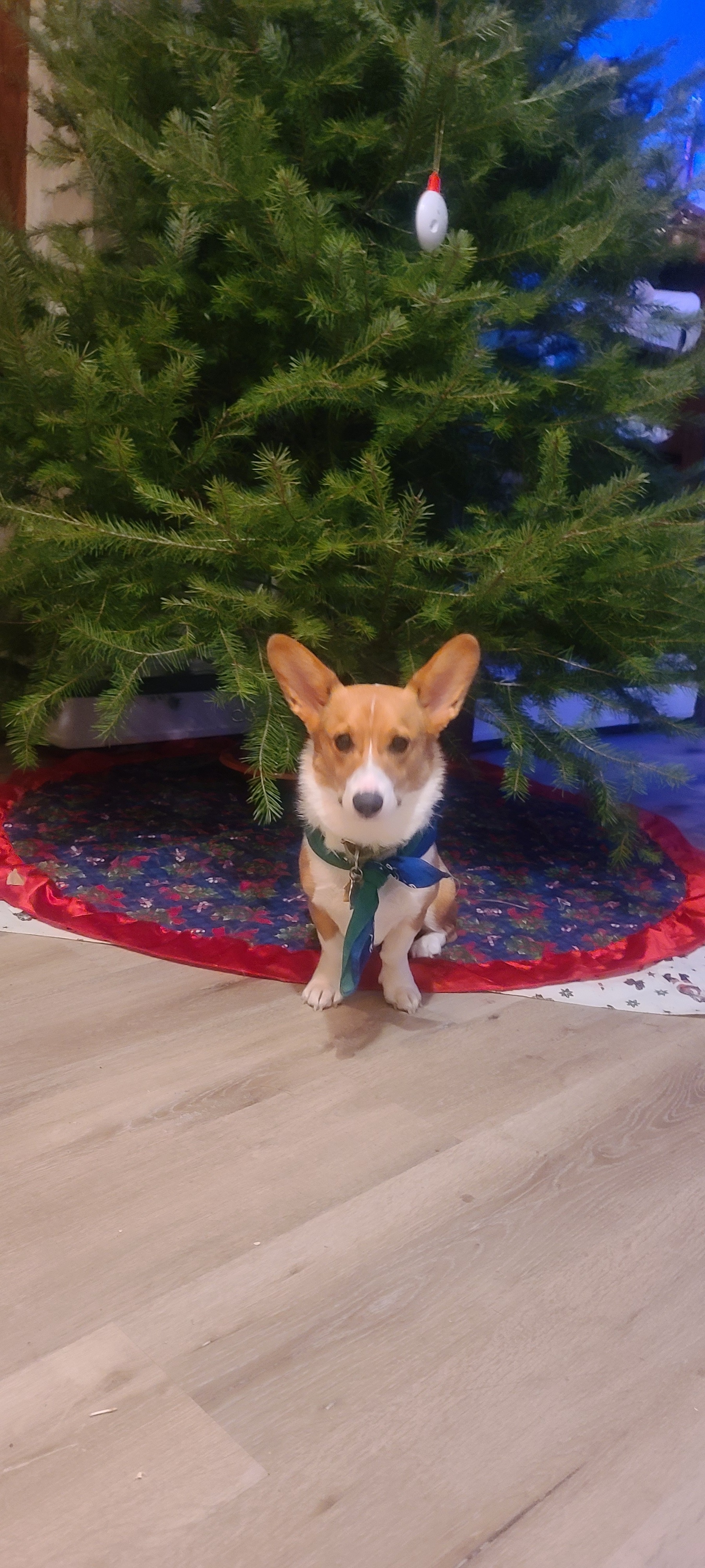 Jessy OnlyFans header