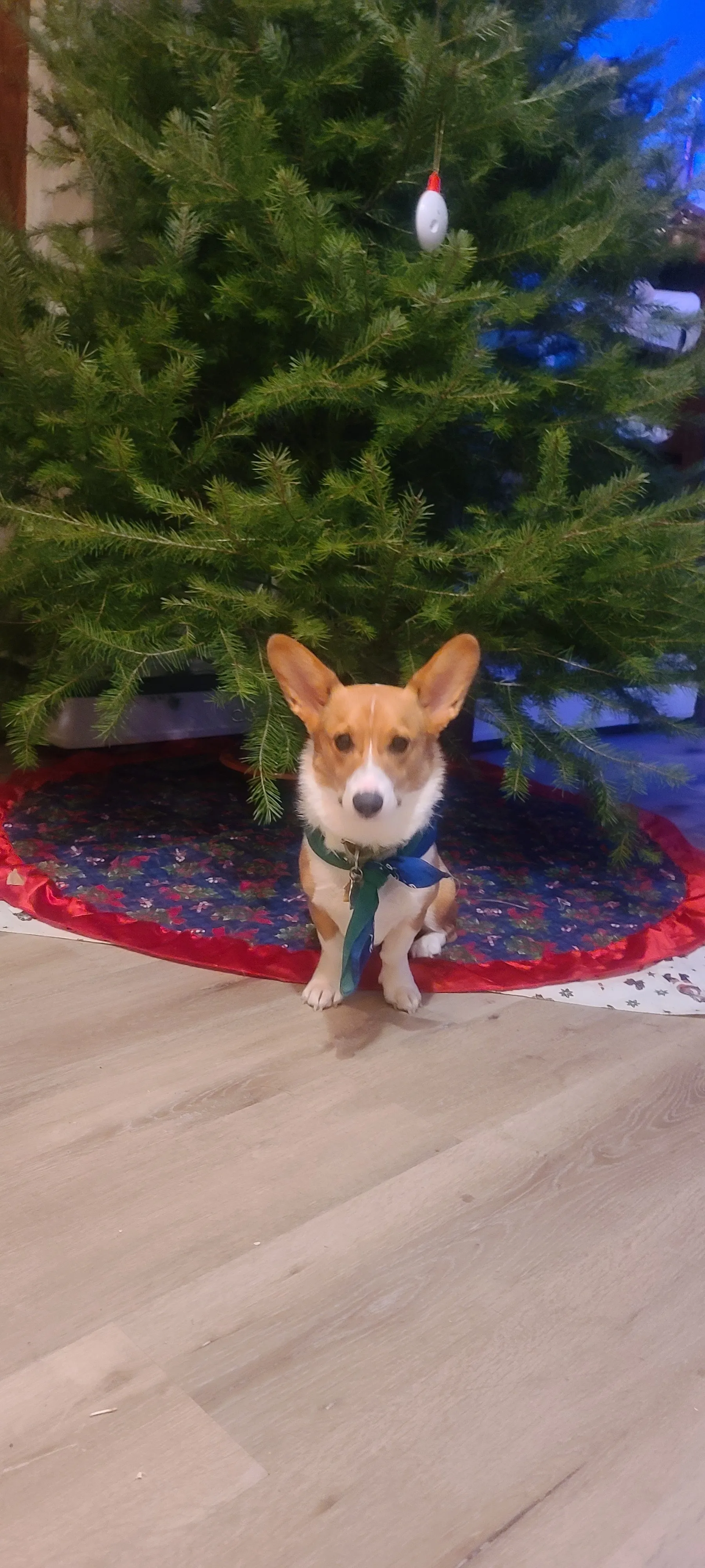 Jessy OnlyFans header