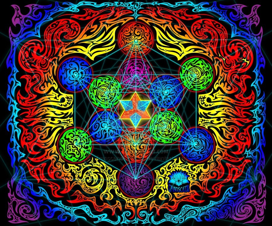 Stevie Lee OnlyFans header