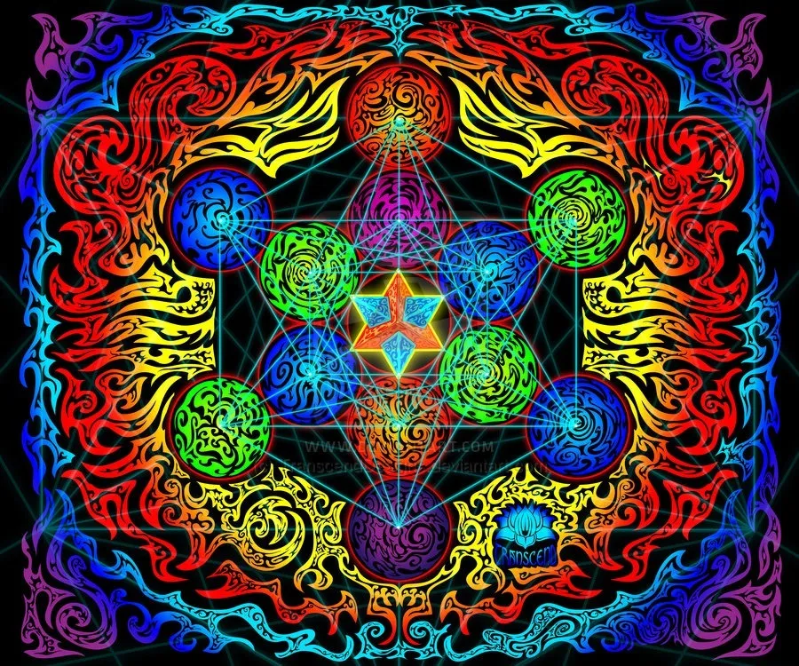 Stevie Lee OnlyFans header