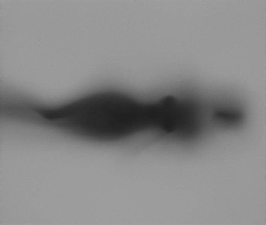 adrienne OnlyFans header