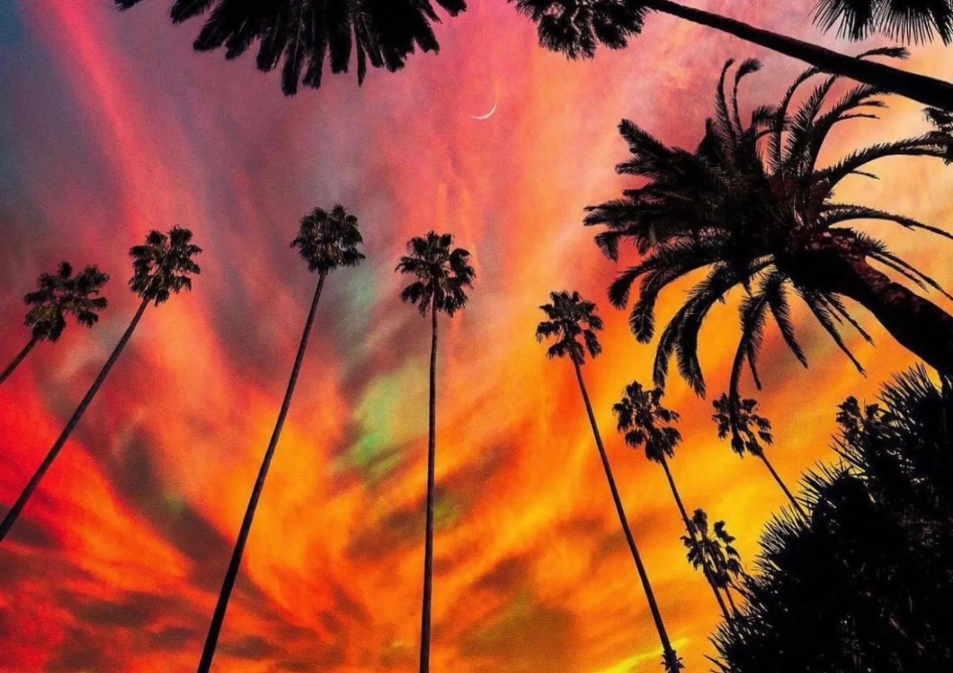 Ms. Bush ♡♥ FREE PAGE ♡♥ OnlyFans header