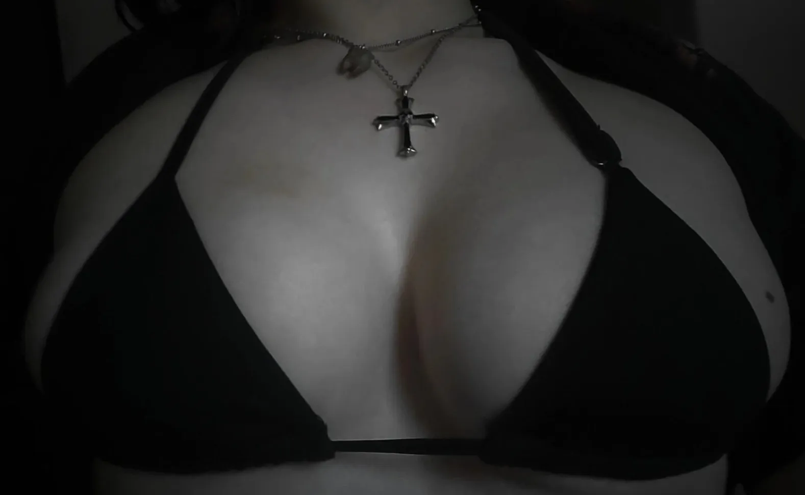 ˚₊‧♱ elayne 🦇 cover