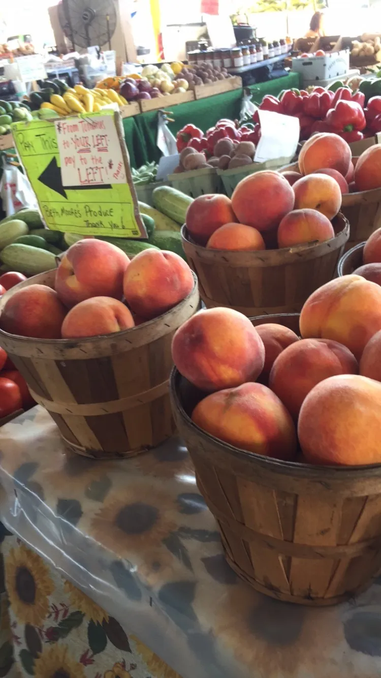 Miss Honey OnlyFans header