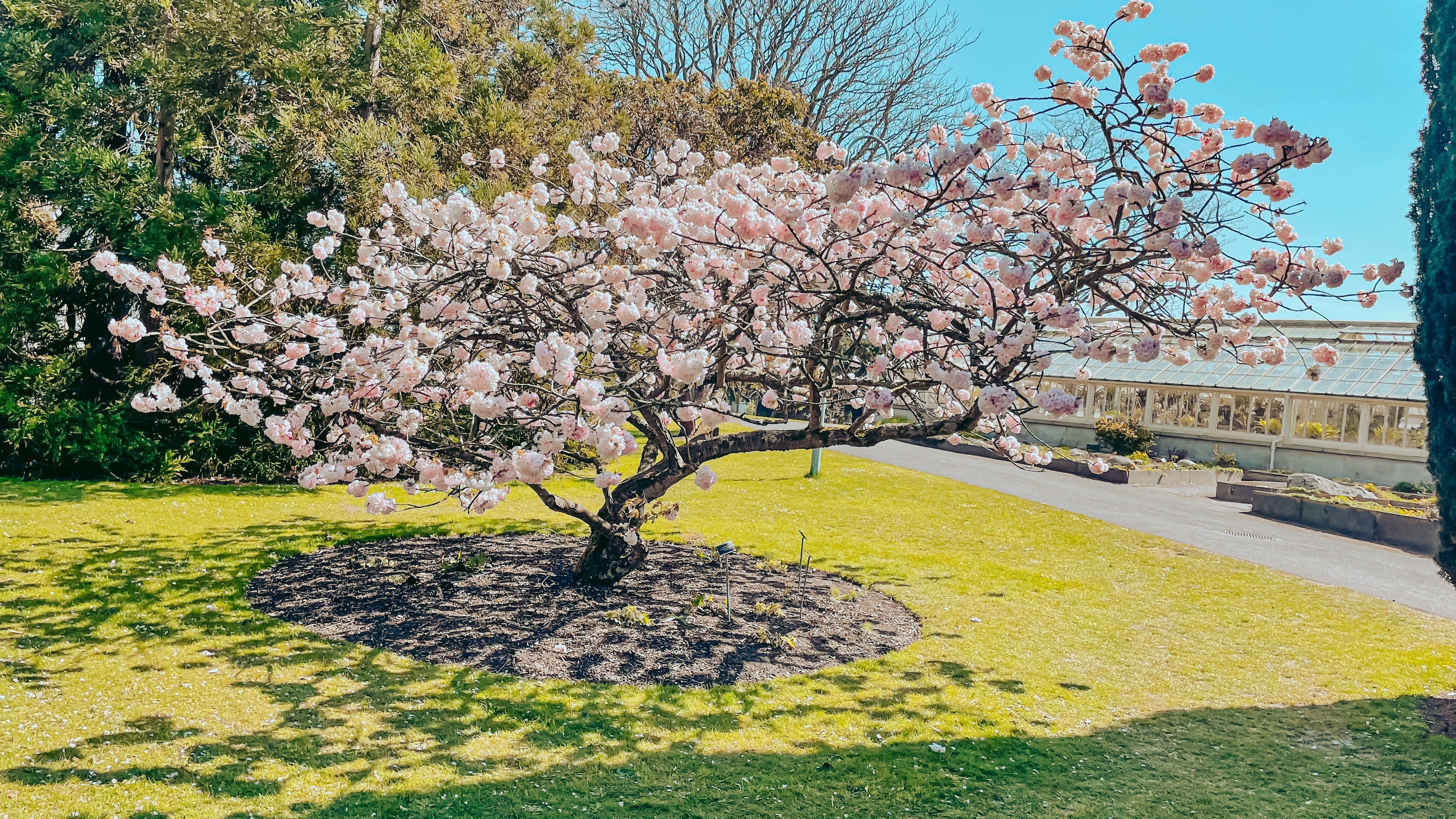 Linda OnlyFans header