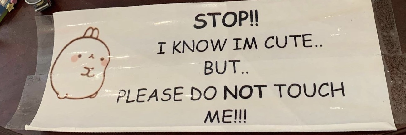 melissa 🍑 OnlyFans header