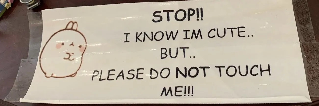 melissa 🍑 OnlyFans header