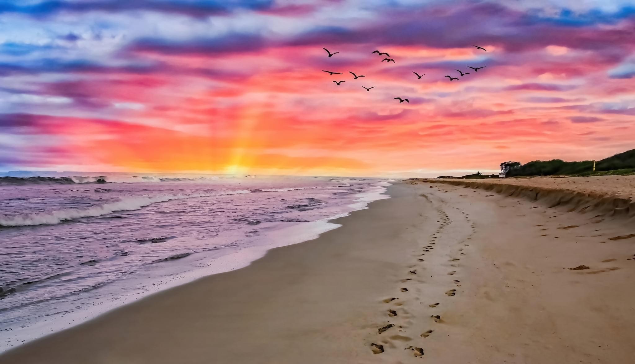 Kraving Kate OnlyFans header