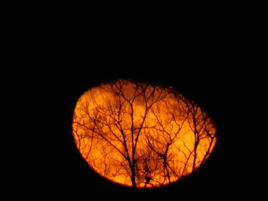 MigBrat OnlyFans header