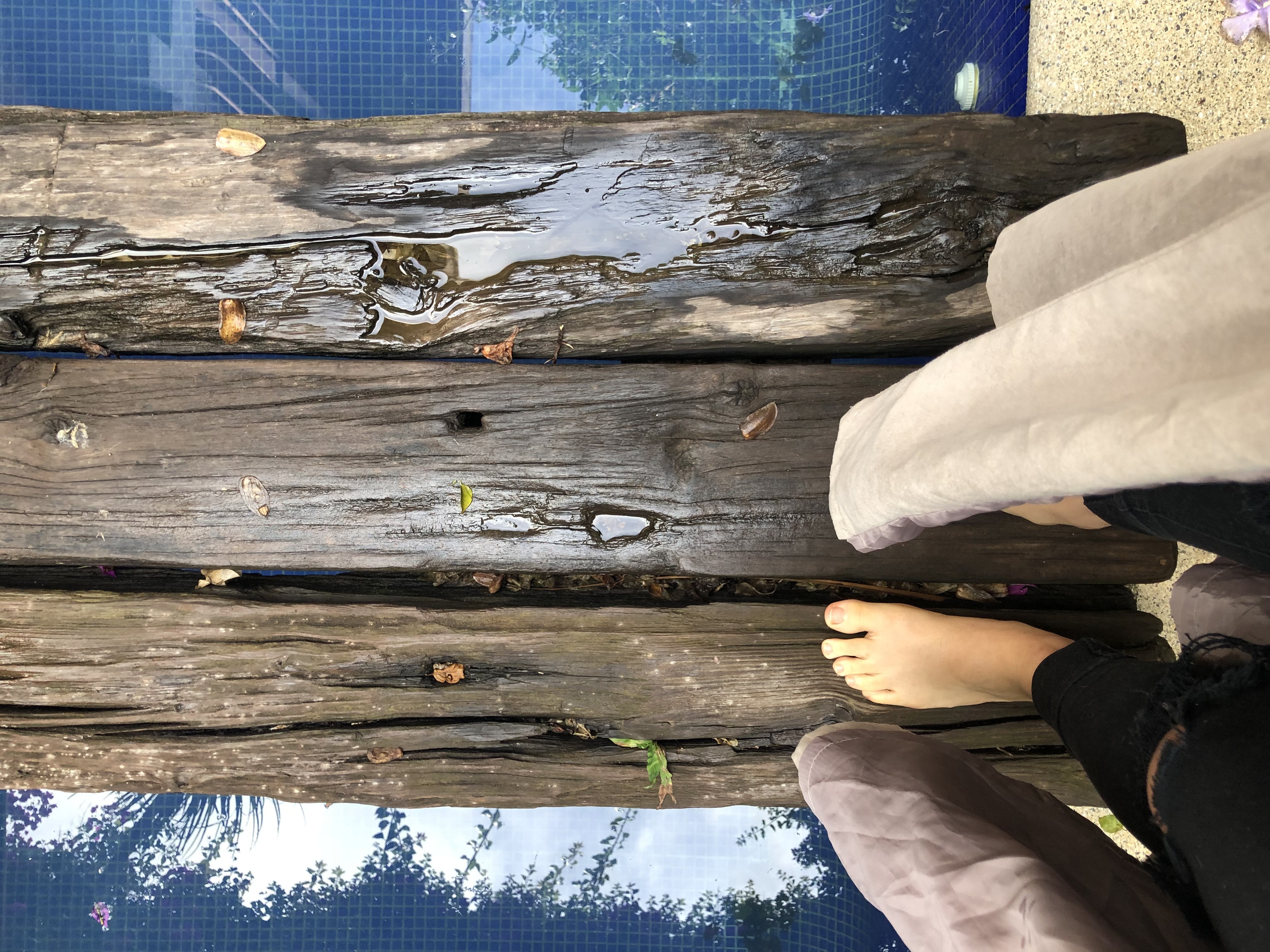 Only Feet OnlyFans header