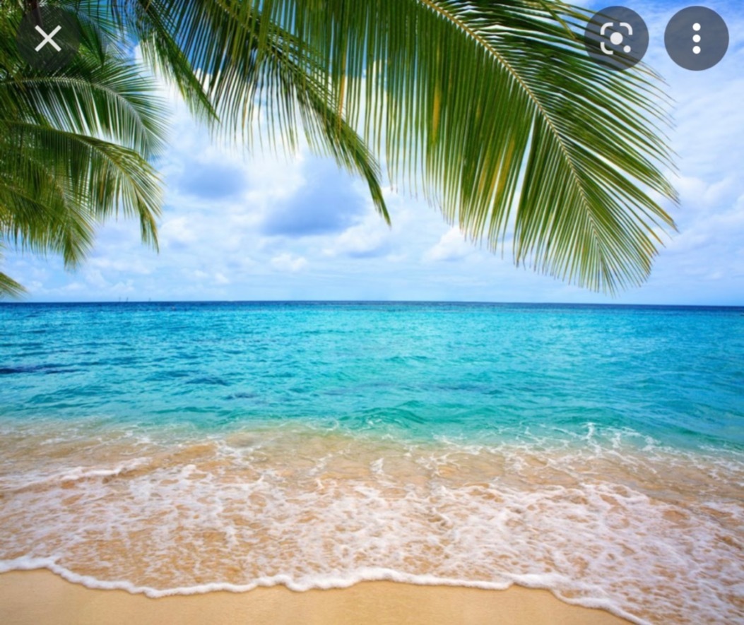 MissLilah OnlyFans header