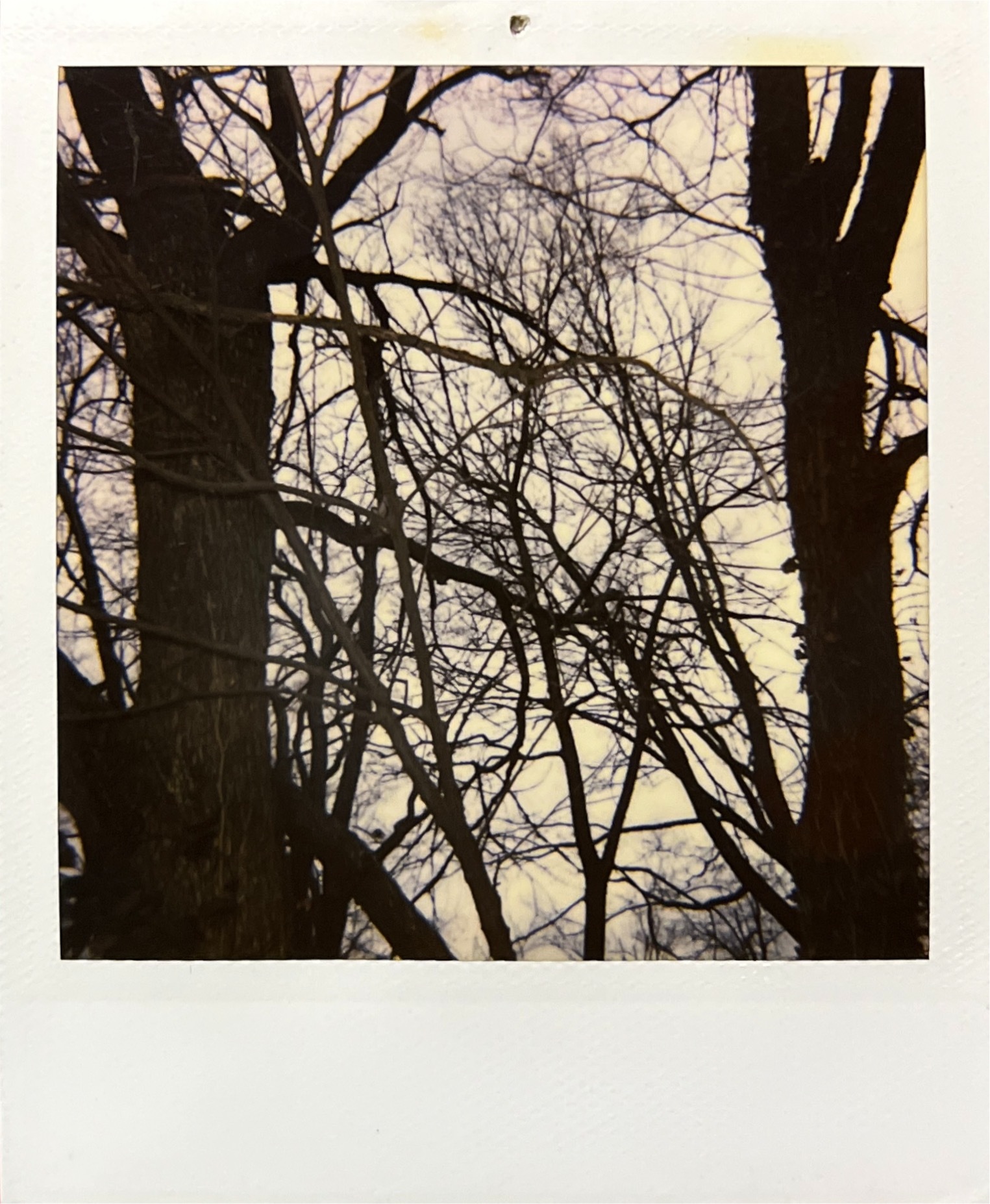 Oscar O OnlyFans header