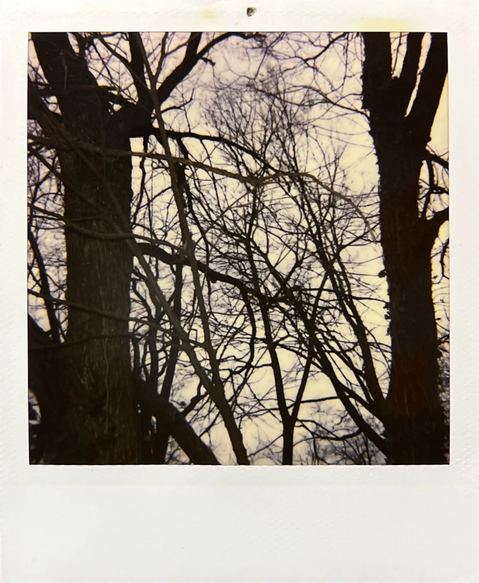 Oscar O OnlyFans header