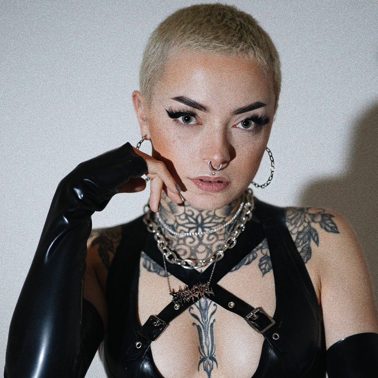 𝖘 𝖍 𝖆 𝖓 𝖓 𝖔 𝖓 𝖘 𝖚 𝖈 𝖐 𝖘 OnlyFans