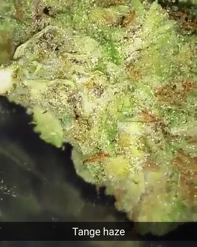 the wife next door OnlyFans header