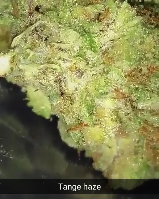 the wife next door OnlyFans header